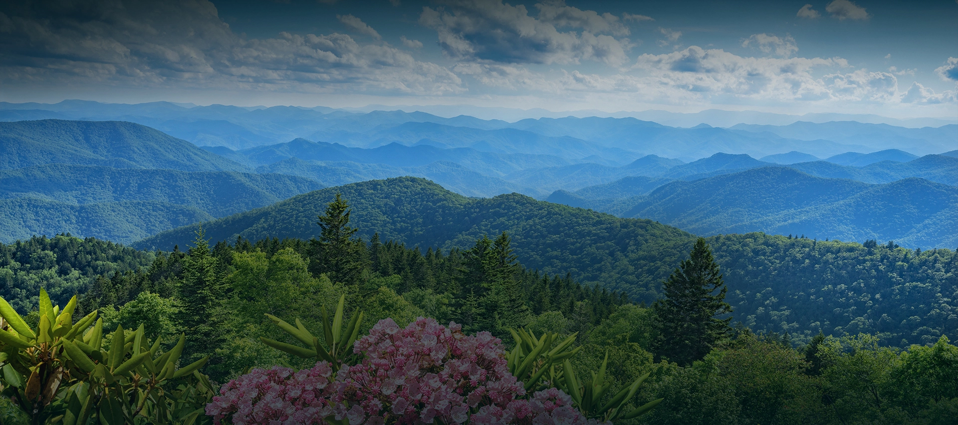 Smoky Mountains on a spring day