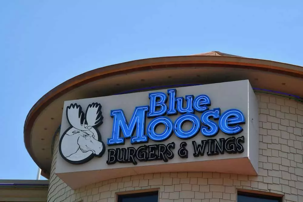 Blue Moose