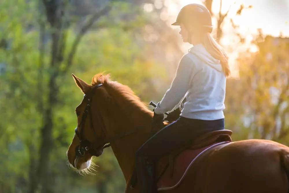 horseback riding