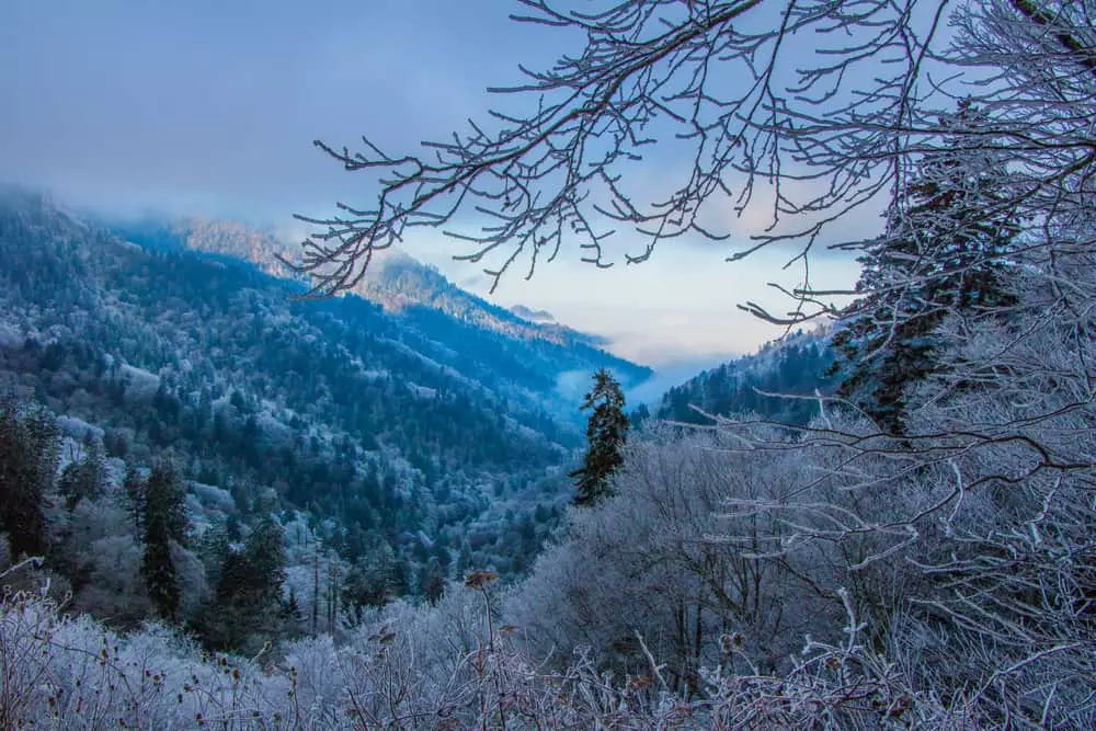 Winter in the Smokies