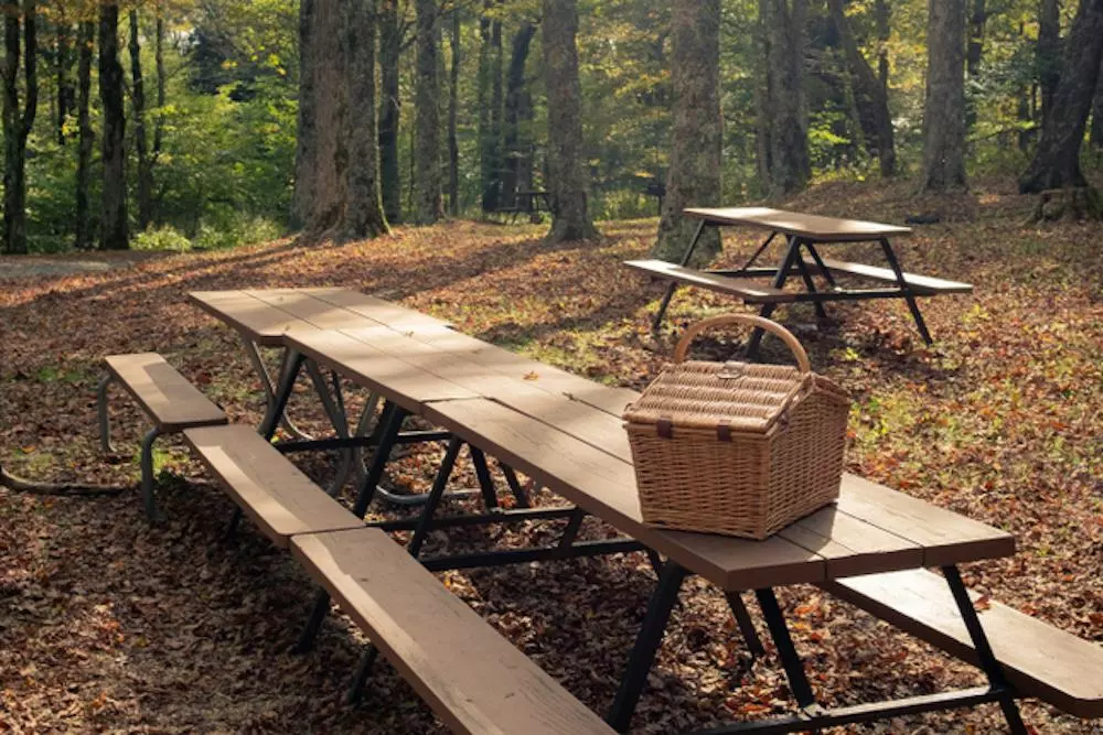 picnic tables in the smoky mountains