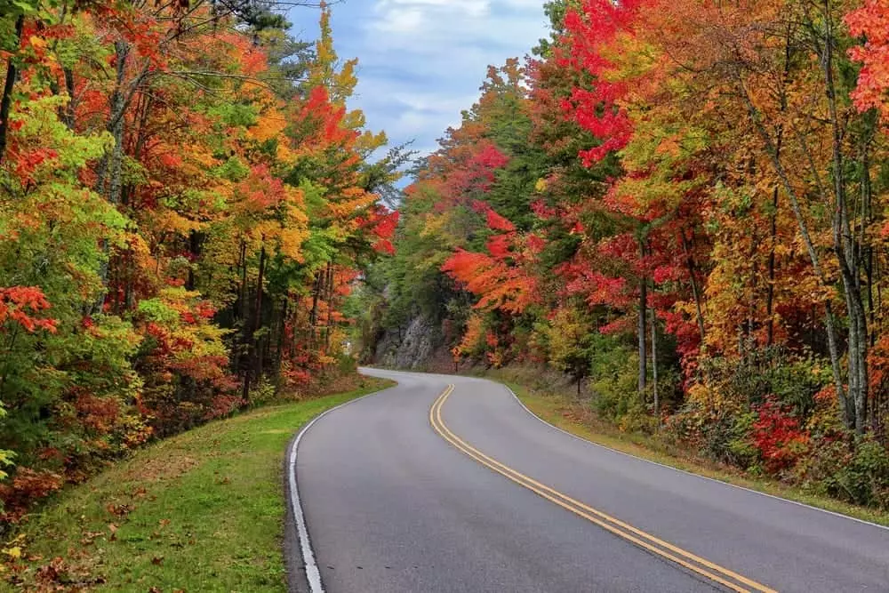 Beautiful fall colors along the Foothills Parkway in the Smoky Mountains.