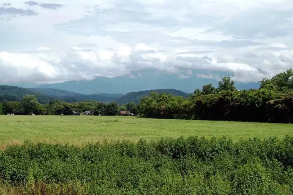 Beautiful photo of spring in Pigeon Forge.