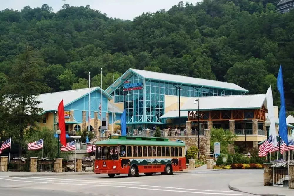 Ripley's Gatlinburg aquarium