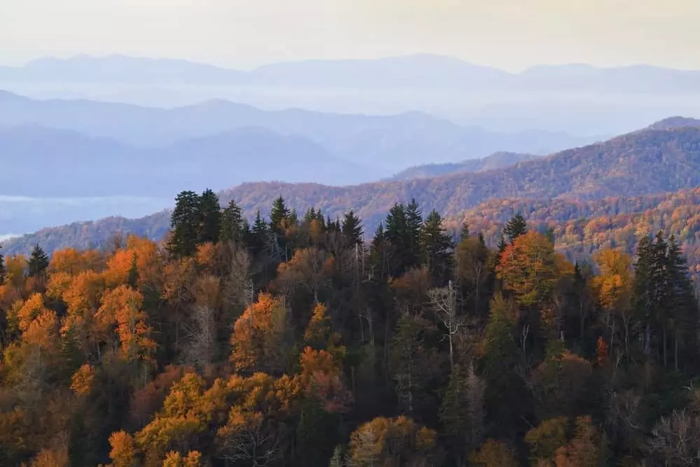 Beautiful fall colors in the mountains near Gatlinburg TN.