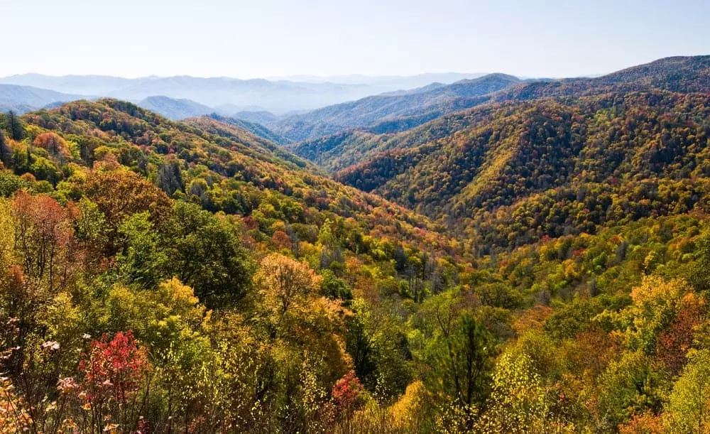Fall colors in the mountains near Pigeon Forge.