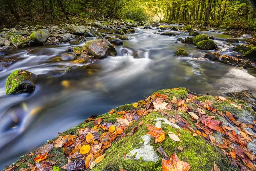 Beautiful Smoky Mountain stream