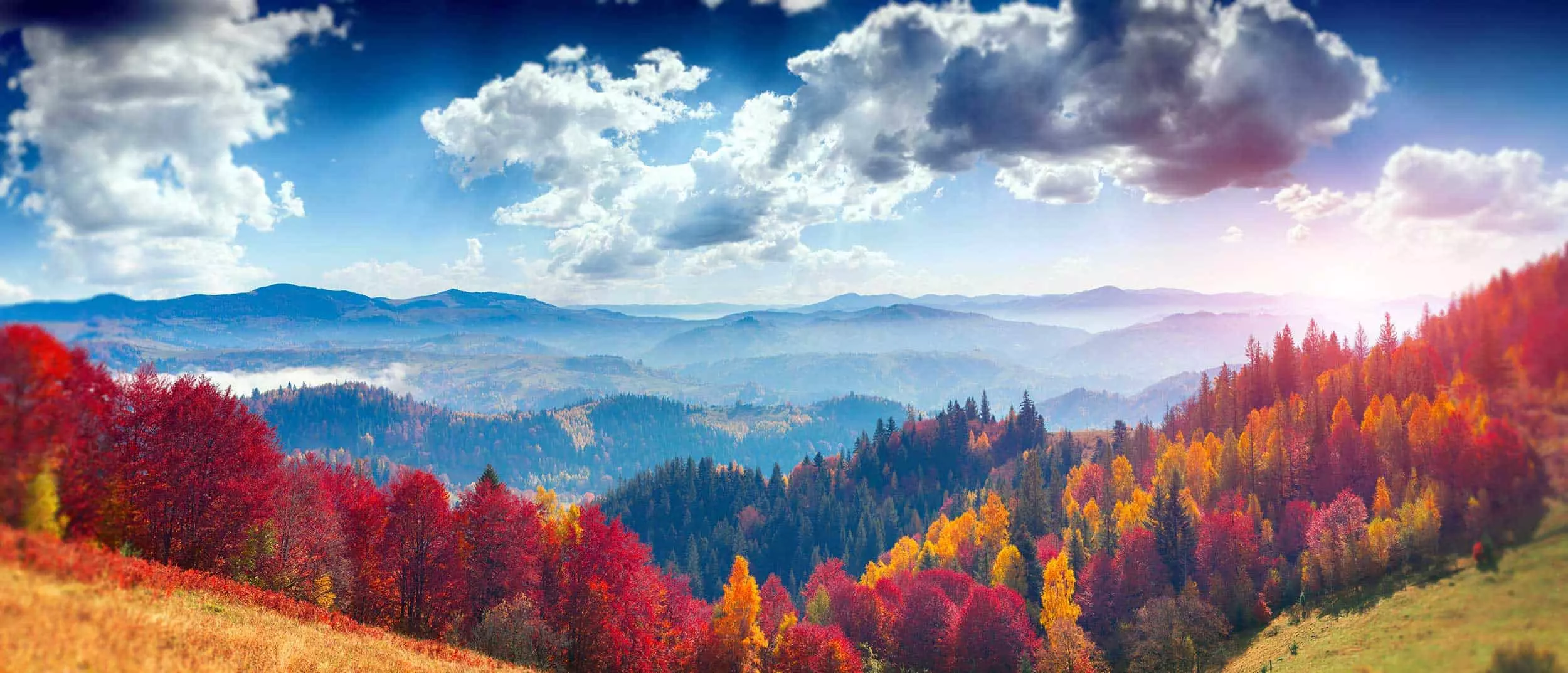 Beautiful fall colors in the Smoky Mountains.