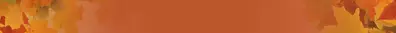 An orange rectangle.