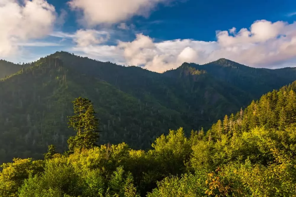 Incredible mountain views from one of our secluded luxury cabins in Pigeon Forge.