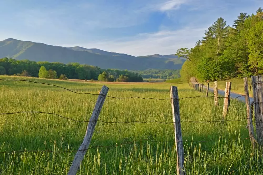 Scenic spring photo in Cades Cove near our Smoky Mountain cabin rentals.
