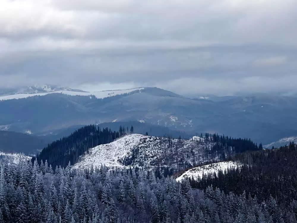 Winter in the Great Smoky Mountains