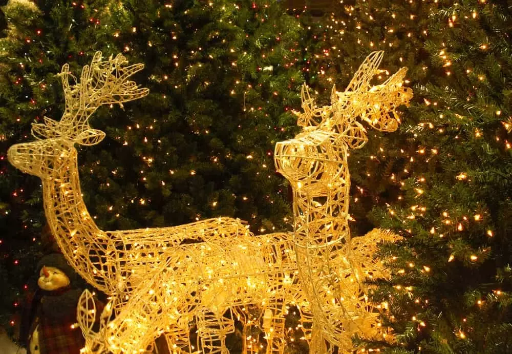 Reindeer Christmas lights in Galtinburg.