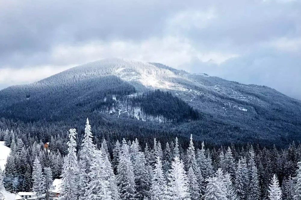 winter vacation in the Smoky Mountains.