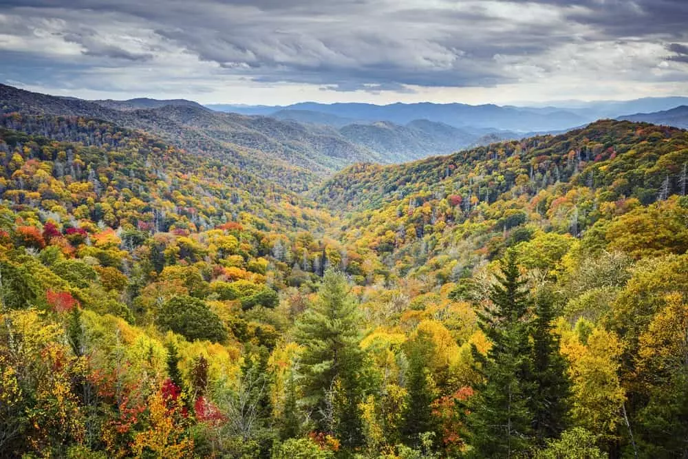 fall in the Smoky Mountains