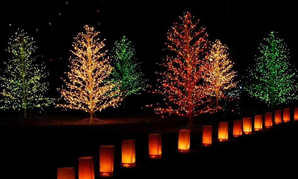 Christmas Lights at Shadracks Christmas Wonderland in Sevierville
