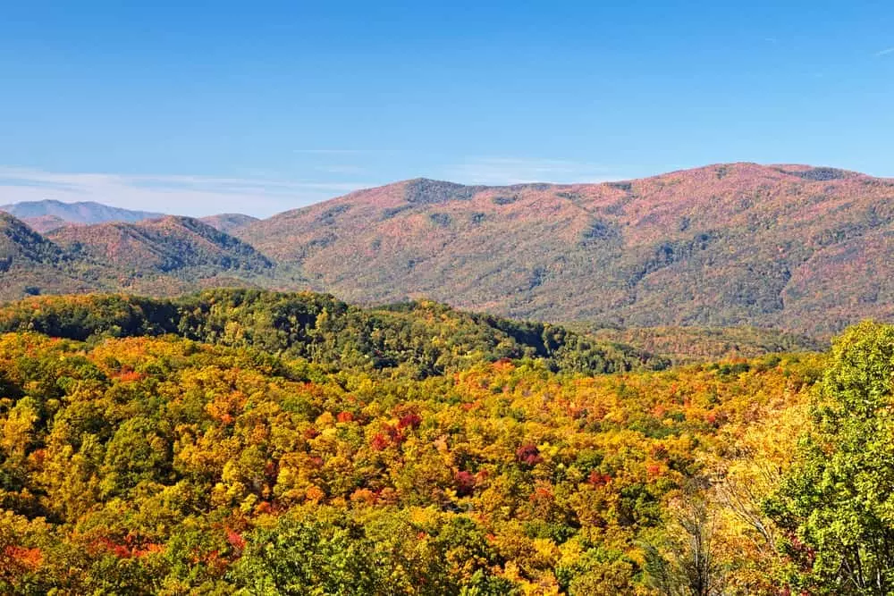 Bright fall colors throughout the Smoky Mountains