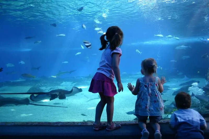 kids at Gatlinburg aquarium