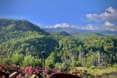 flowers and mountain views from anakeesta in gatlinburg