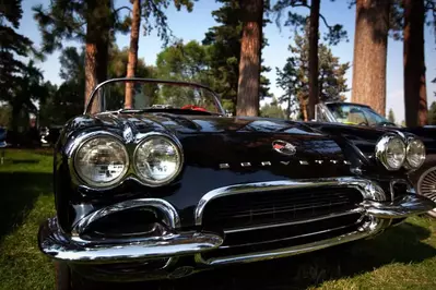corvette-stringray