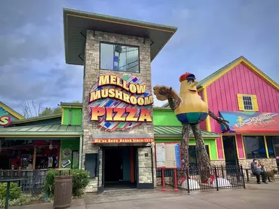 Mellow Mushroom in Pigeon Forge