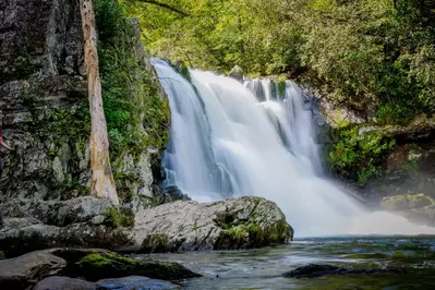 Abrams Falls in Cades Cove