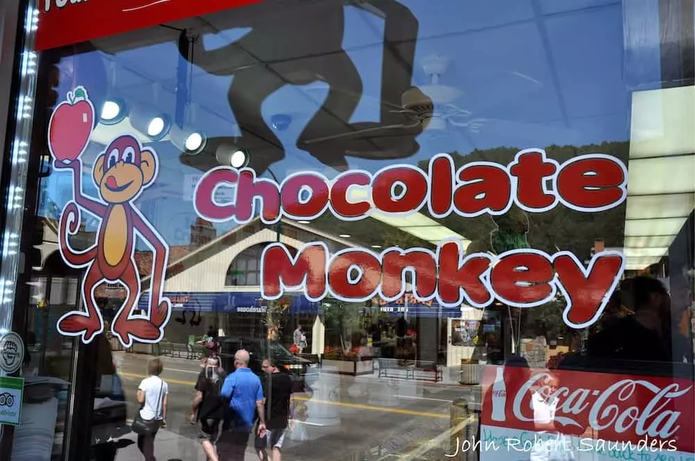 chocolate monkey in gatlinburg