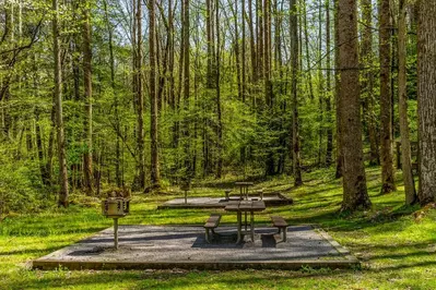picnic area in the smokies
