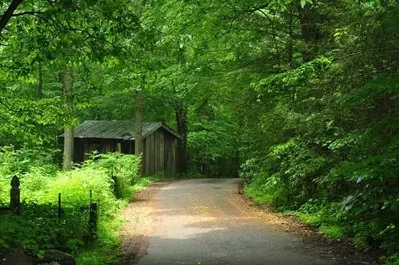 roaring fork motor trail