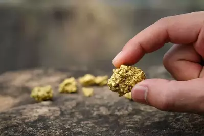 person holding gold