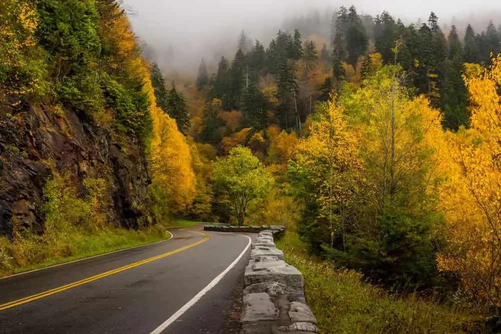 newfound gap road in the fall
