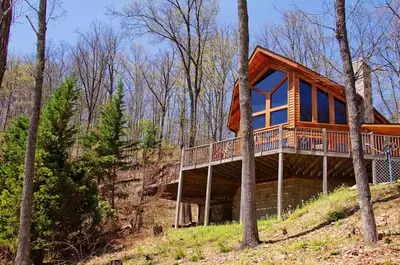 pet friendly cabin in pigeon forge