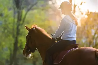 girl riding horse