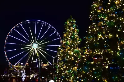 Great Smoky Mountain Wheel and Christmas trees