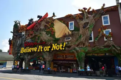 The revamped Ripley's Odditorium in Gatlinburg.