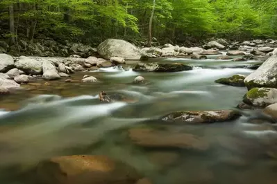 A river in the Greenbrier section of the Smoky Mountains.