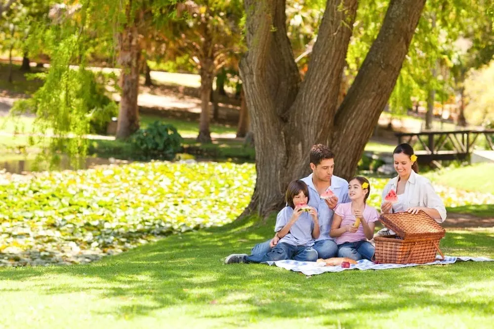A family enjoying a picnic in a park.