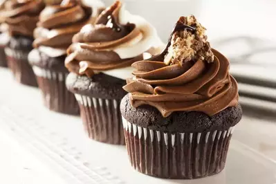 Delicious chocolate cupcakes.