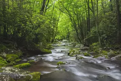 Roaring Fork near Gatlinburg.