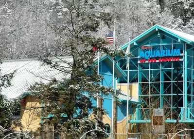 Ripley's Aquarium of the Smokies during the winter.