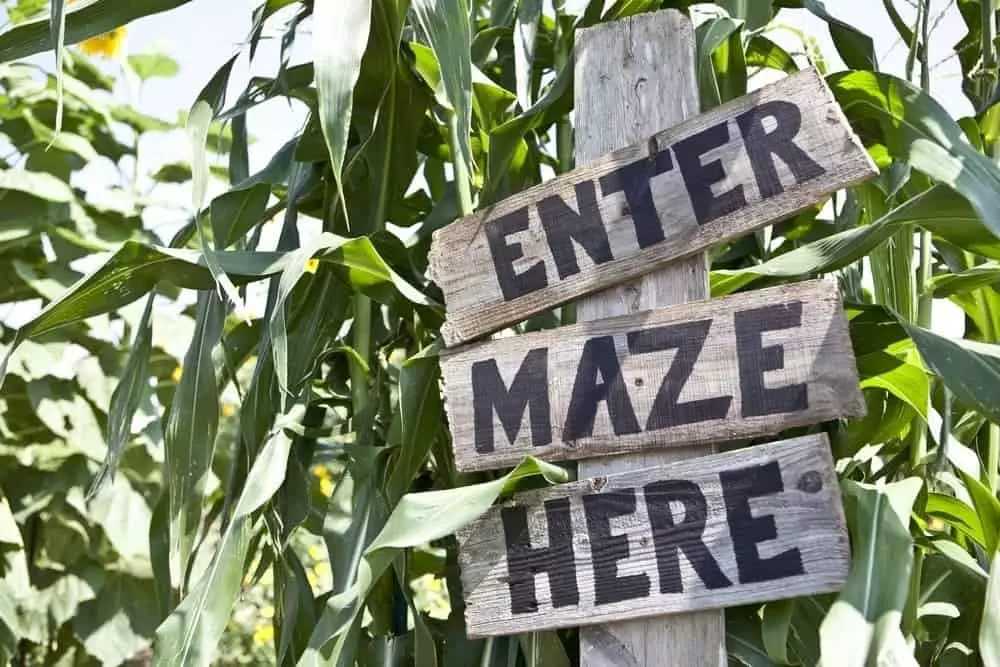 A wooden sign at a corn maze.