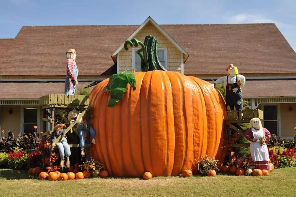 A giant pumpkin at the Dollywood Welcome Center during the Harvest Festival.