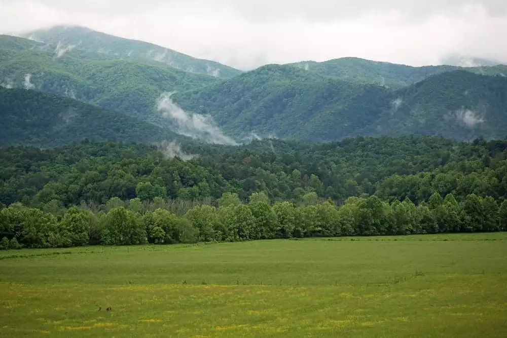 Spring view of the Smoky Mountains
