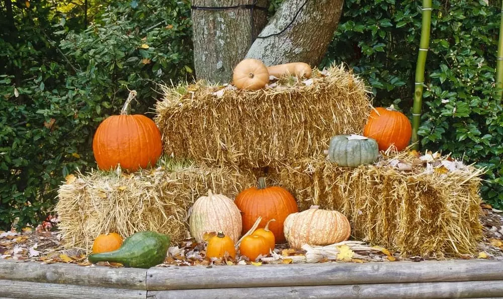 Pumpkins and gourds on bales of hay.