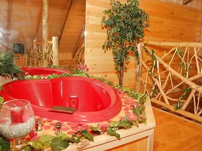 Buck Nekkid cabin in Gatlinburg jacuzzi tub