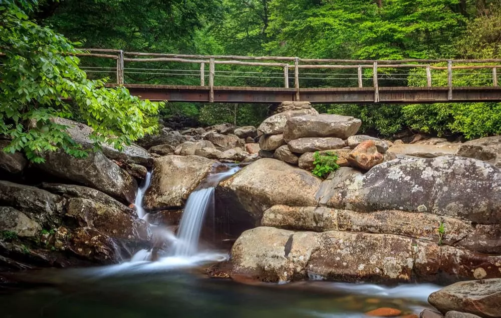 outdoor stream in the Great Smoky Mountains National Park