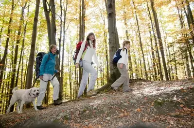 family and dog hiking at Pet Friendly Smoky Mountain Cabin