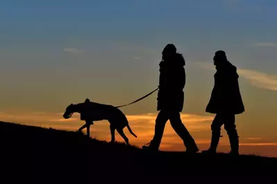 family hiking near a pet-friendly Pigeon Forge cabin rental