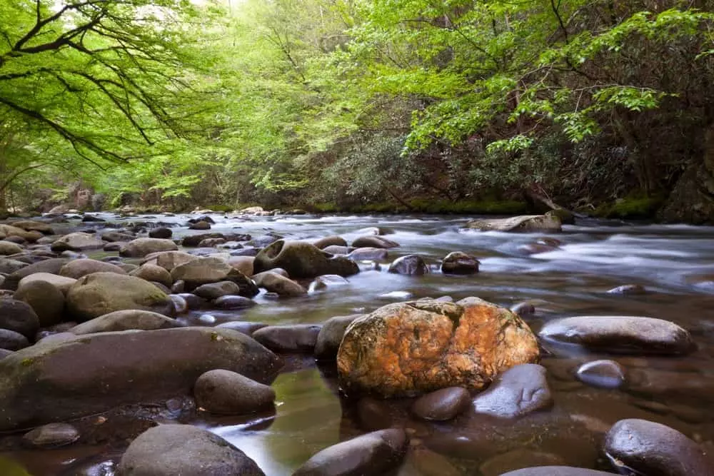 Little Pigeon River in the Smoky Mountains