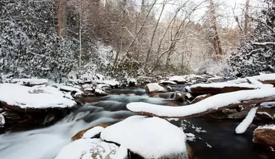 Gorgeous snowy scene nerar our three bedroom Pigeon Forge cabin